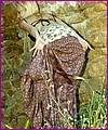 ana-fey-00984.jpg